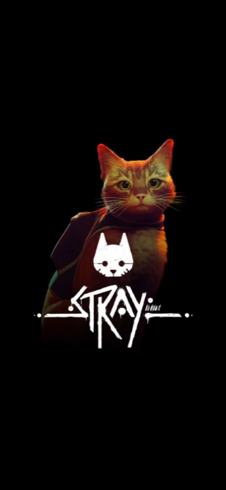 Chat roux du jeu Stray portant son sac à dos sur un fond noir.