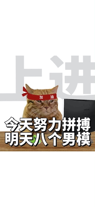 An orange ginger cat wearing glasses and a red 'Jiayou' headband sitting at a computer desk with funny Chinese motivational text on a white background.