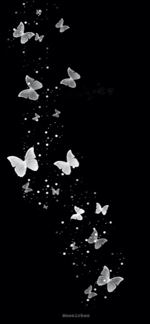 Leuchtende weiße Schmetterlinge und Sternenstaub auf schwarzem Hintergrund.