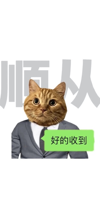 Eine orangefarbene Katze im Anzug mit einer Sprechblase 'Verstanden' auf Chinesisch.