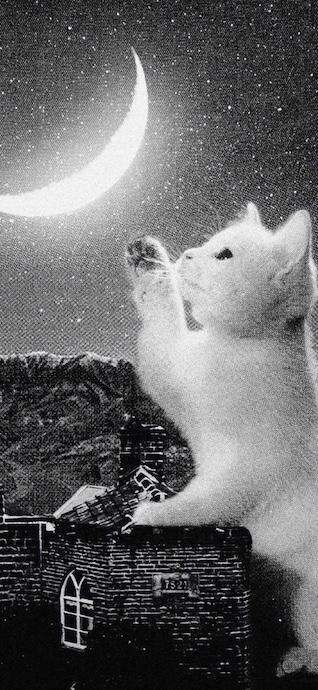 A vintage monochrome image of a large white kitten reaching for a bright crescent moon in a starry night sky above a small house.