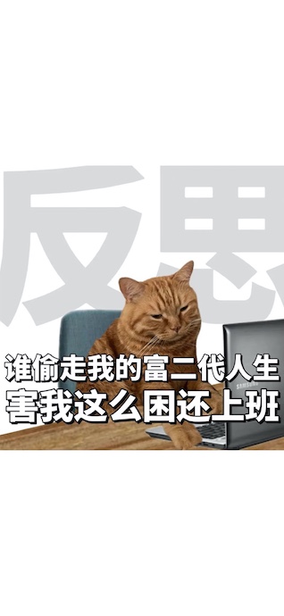 Eine rote getigerte Katze sitzt müde vor einem Laptop, ein lustiges Meme über die Arbeit.