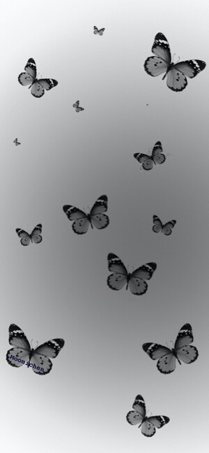 Multiple black and white butterflies flying upwards on a light gray gradient background, minimalist aesthetic.