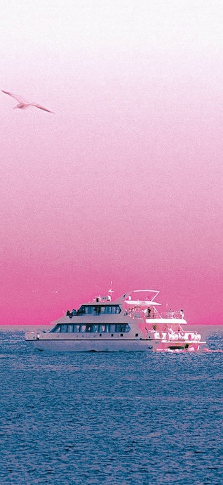 A white yacht cruising on deep blue water under a vibrant hot pink and white gradient sky with a seagull flying.