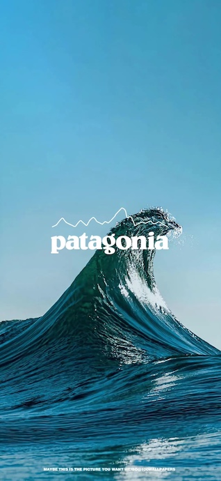 A large, crashing deep blue ocean wave with white sea foam under a clear sky, featuring the Patagonia logo in white text.