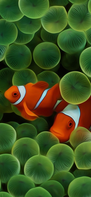 Digital art illustration of two bright orange clownfish swimming among textured green bulbous sea anemone tentacles.