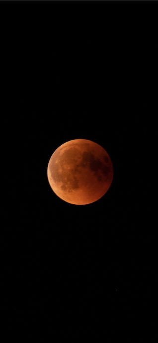 Eine Nahaufnahme eines Blutmonds während einer Mondfinsternis, der orange-rot vor einem pechschwarzen Nachthimmel leuchtet.