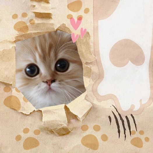 Fotocollage-Vorlage mit einem Kätzchen, das durch ein Loch in gerissenem beige Papier blickt, verziert mit Pfotenspuren und Herzen.