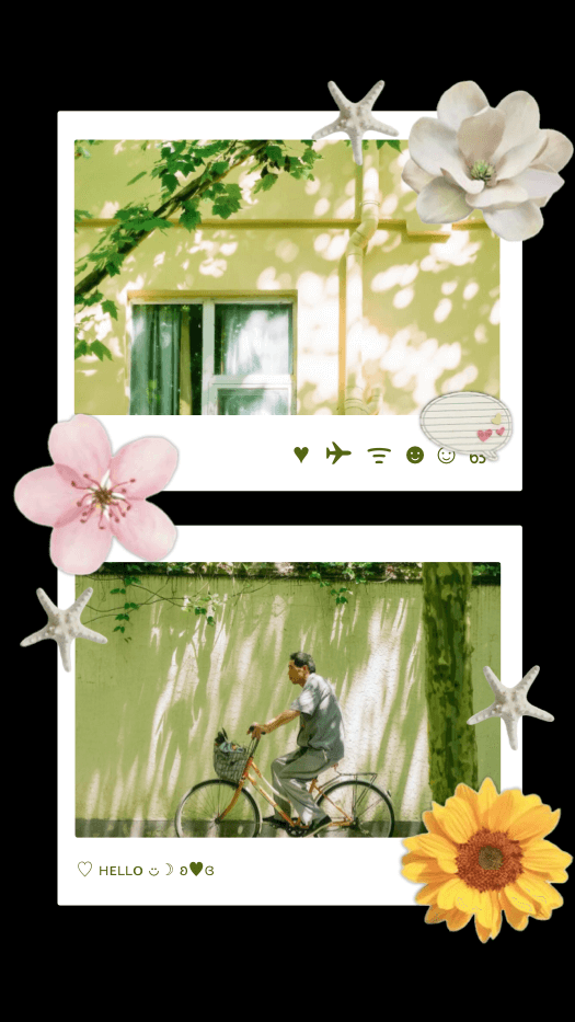 Aesthetic 2-photo polaroid scrapbook collage with flowers, starfish, and sun-drenched nature images in cottagecore style.