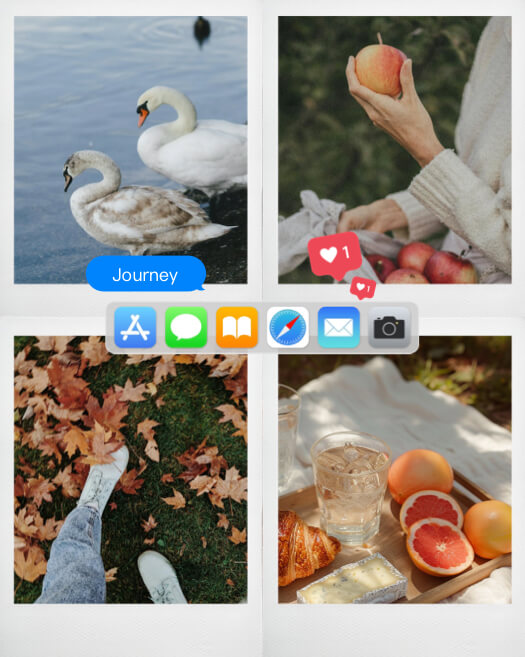 Eine Fotocollage-Vorlage mit 4 Bildern (Schwäne, Blätter, Picknick), dekoriert mit einer iPhone-App-Leiste und Benachrichtigungs-Herzen.