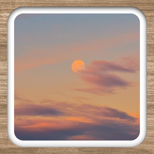 Une seule photo avec des coins arrondis et une bordure blanche épaisse sur un fond de texture bois.