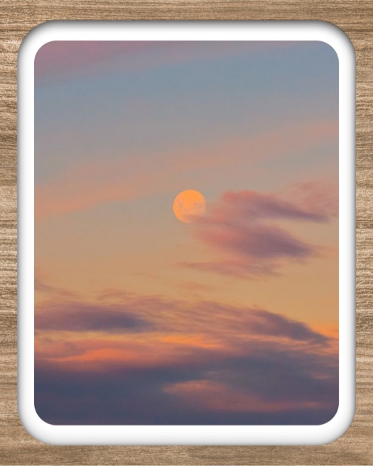 A single photo collage template with a white rounded-corner frame on a light brown wood grain background, showcasing a sunset with a moon and purple clouds.