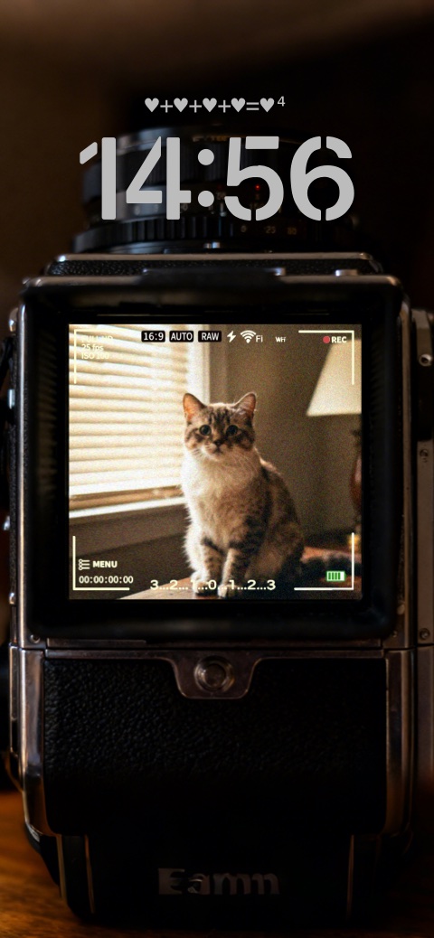 Ein Sucher einer alten Filmkamera, der eine Katze zeigt, als anpassbare statische Wallpaper-Vorlage.