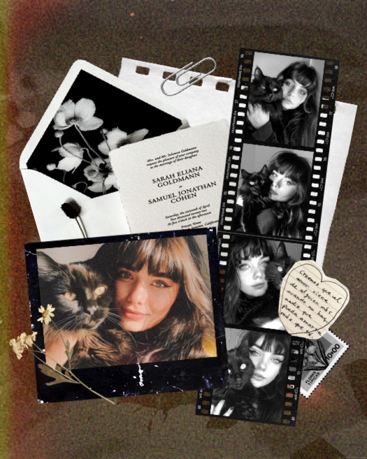 Montage photo vintage avec pellicule de film, cadre polaroïd, fleurs séchées et éléments de papier sur fond sombre.