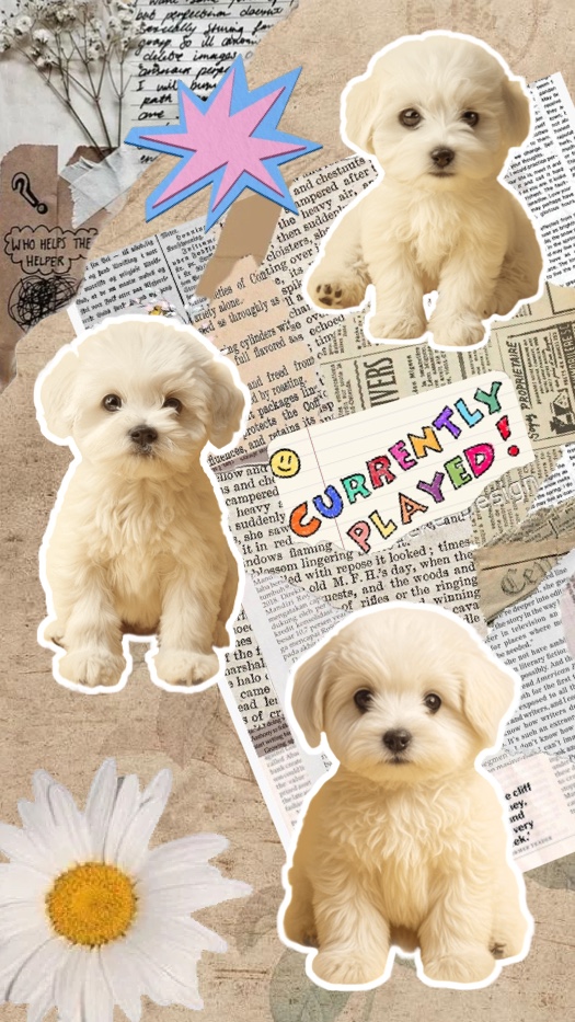 Vintage-Fotocollage im Scrapbook-Stil mit drei weißen Welpen, zerrissenem Zeitungspapier, einer blauen Stern-Grafik und einer Gänseblümchen-Blüte.