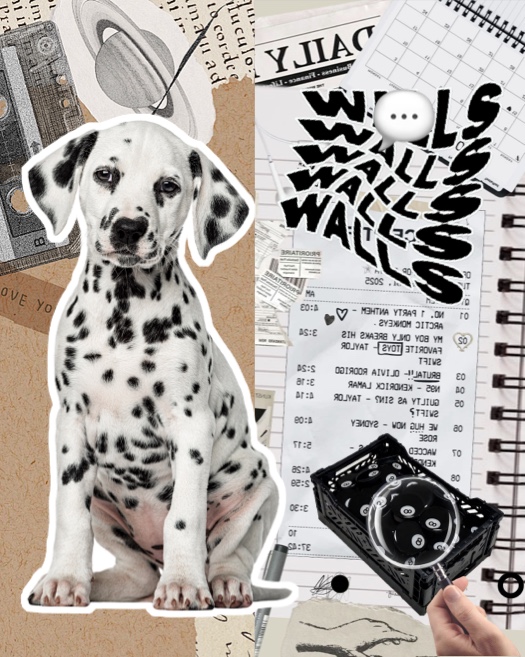Collage estilo scrapbook con un cachorro dálmata, cinta de casete vintage, planeta Saturno, recorte de periódico y una lupa enfocando bolas de billar número 8.